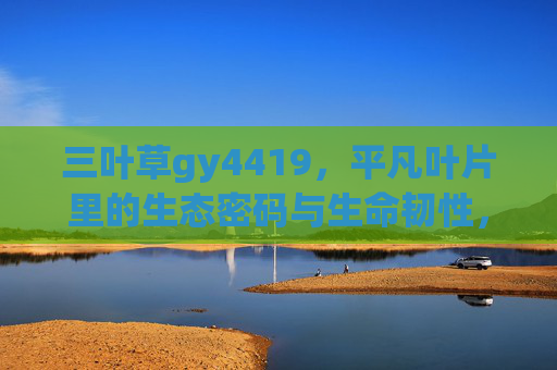 三叶草gy4419,平凡叶片里的生态密码与生命韧性,三叶草gy4419,平凡叶片的生态密码与生命韧性 三叶草gy4419,平凡叶片里的生态密码与生命韧性,三叶草gy4419,平凡叶片的生态密码与生命韧性