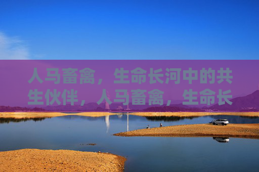 人马畜禽,生命长河中的共生伙伴,人马畜禽,生命长河的共生伙伴 人马畜禽,生命长河中的共生伙伴,人马畜禽,生命长河的共生伙伴