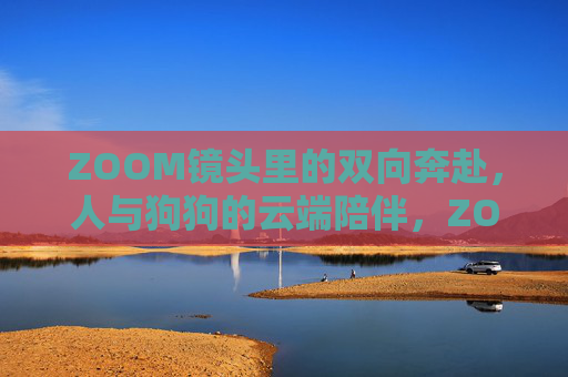 ZOOM镜头里的双向奔赴,人与狗狗的云端陪伴,ZOOM镜头里的双向奔赴,人与狗狗的云端陪伴 ZOOM镜头里的双向奔赴,人与狗狗的云端陪伴,ZOOM镜头里的双向奔赴,人与狗狗的云端陪伴