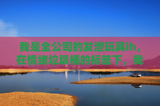 我是全公司的发泄玩具ih,在情绪垃圾桶的标签下,我学会了对被需要说不,全公司的发泄玩具,在情绪垃圾桶标签下,我学会对被需要说不 我是全公司的发泄玩具ih,在情绪垃圾桶的标签下,我学会了对被需要说不,全公司的发泄玩具,在情绪垃圾桶标签下,我学会对被需要说不