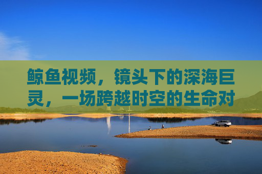 鲸鱼视频,镜头下的深海巨灵,一场跨越时空的生命对话,镜头下的深海巨灵,跨越时空的生命对话 鲸鱼视频,镜头下的深海巨灵,一场跨越时空的生命对话,镜头下的深海巨灵,跨越时空的生命对话