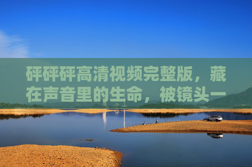砰砰砰高清视频完整版,藏在声音里的生命,被镜头一一拆封,镜头拆封,藏在砰砰声里的生命 砰砰砰高清视频完整版,藏在声音里的生命,被镜头一一拆封,镜头拆封,藏在砰砰声里的生命