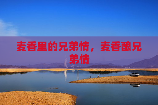 麦香里的兄弟情,麦香酿兄弟情 麦香里的兄弟情,麦香酿兄弟情