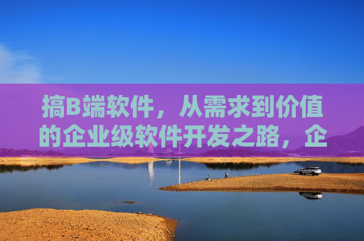 搞B端软件,从需求到价值的企业级软件开发之路,企业级B端软件,从需求到价值的开发之路 搞B端软件,从需求到价值的企业级软件开发之路,企业级B端软件,从需求到价值的开发之路