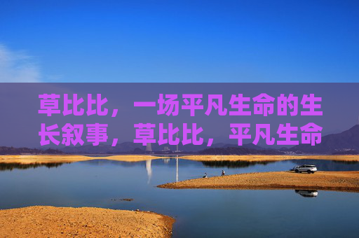 草比比,一场平凡生命的生长叙事,草比比,平凡生命的生长叙事 草比比,一场平凡生命的生长叙事,草比比,平凡生命的生长叙事