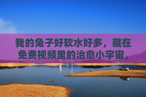 我的兔子好软水好多,藏在免费视频里的治愈小宇宙,免费视频里的软糯治愈小宇宙 我的兔子好软水好多,藏在免费视频里的治愈小宇宙,免费视频里的软糯治愈小宇宙
