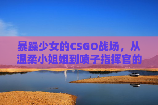 暴躁少女的CSGO战场,从温柔小姐姐到喷子指挥官的反差暴击,温柔小姐姐变喷子指挥官,CSGO战场的暴躁少女反差暴击 暴躁少女的CSGO战场,从温柔小姐姐到喷子指挥官的反差暴击,温柔小姐姐变喷子指挥官,CSGO战场的暴躁少女反差暴击