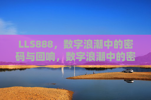 LLS888,数字浪潮中的密码与回响,数字浪潮中的密码与回响 LLS888,数字浪潮中的密码与回响,数字浪潮中的密码与回响