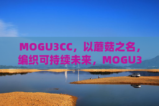 MOGU3CC,以蘑菇之名,编织可持续未来,MOGU3CC,以蘑菇编织可持续未来 MOGU3CC,以蘑菇之名,编织可持续未来,MOGU3CC,以蘑菇编织可持续未来