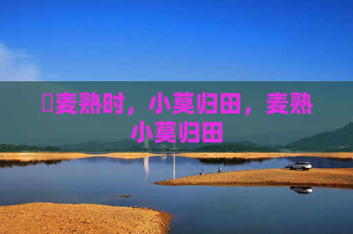 騲麦熟时,小莫归田,麦熟小莫归田 騲麦熟时,小莫归田,麦熟小莫归田