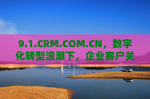 9.1.CRM.COM.CN，数字化转型浪潮下，企业客户关系管理的智慧引擎，1.CRM.COM.CN，数字化转型浪潮下的企业客户关系管理智慧引擎