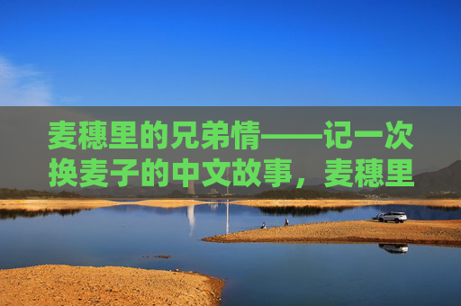 麦穗里的兄弟情——记一次换麦子的中文故事,麦穗里的兄弟情 麦穗里的兄弟情——记一次换麦子的中文故事,麦穗里的兄弟情