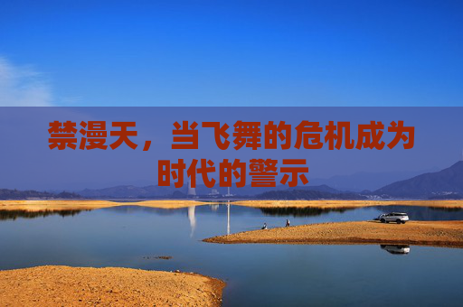 禁漫天，当飞舞的危机成为时代的警示
