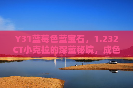 Y31蓝莓色蓝宝石，1.232CT小克拉的深蓝秘境，成色里的自然诗篇，蓝莓秘境，1.232CT蓝宝石的自然诗篇