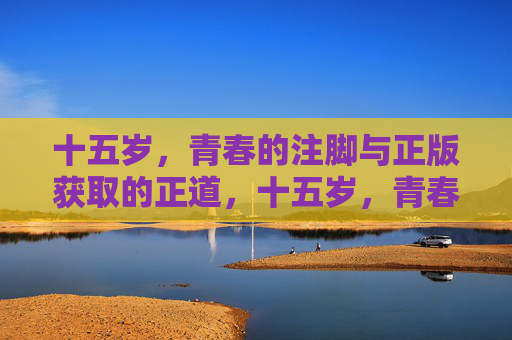 十五岁,青春的注脚与正版获取的正道,十五岁,青春注脚与正版正道 十五岁,青春的注脚与正版获取的正道,十五岁,青春注脚与正版正道