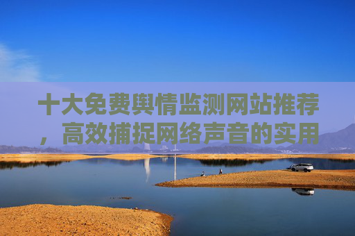 十大免费舆情监测网站推荐,高效捕捉网络声音的实用工具 十大免费舆情监测网站推荐,高效捕捉网络声音的实用工具