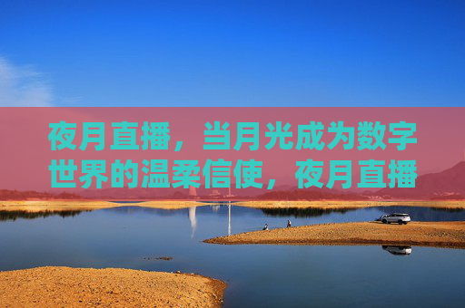 夜月直播，当月光成为数字世界的温柔信使，夜月直播，月光，数字世界的温柔信使