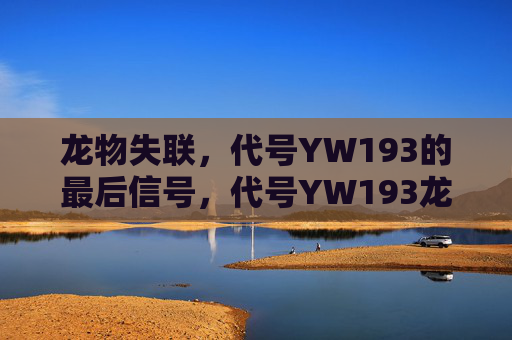 龙物失联,代号YW193的最后信号,代号YW193龙物失联,最后信号 龙物失联,代号YW193的最后信号,代号YW193龙物失联,最后信号