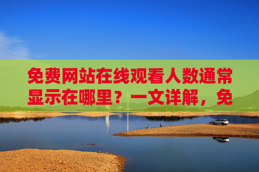 免费网站在线观看人数通常显示在哪里?一文详解,免费网站在线观看人数显示位置详解 免费网站在线观看人数通常显示在哪里?一文详解,免费网站在线观看人数显示位置详解