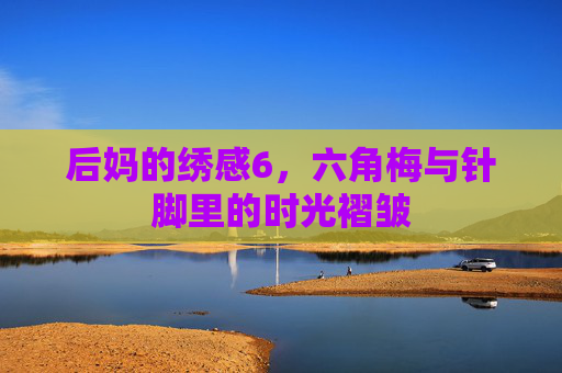 后妈的绣感6,六角梅与针脚里的时光褶皱 后妈的绣感6,六角梅与针脚里的时光褶皱