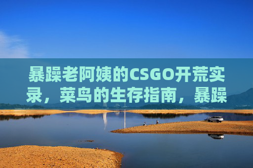 暴躁老阿姨的CSGO开荒实录,菜鸟的生存指南,暴躁老阿姨CSGO开荒实录,菜鸟生存指南 暴躁老阿姨的CSGO开荒实录,菜鸟的生存指南,暴躁老阿姨CSGO开荒实录,菜鸟生存指南