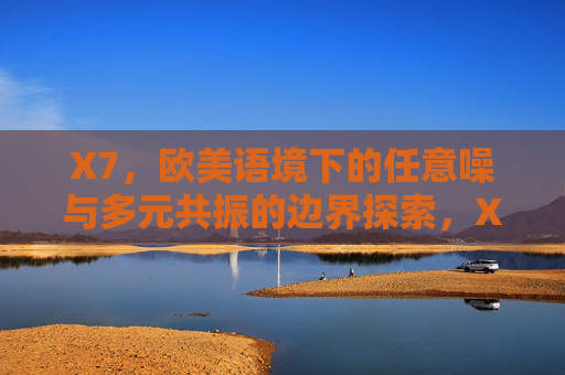 X7，欧美语境下的任意噪与多元共振的边界探索，X7，欧美语境下任意噪与多元共振的边界探索
