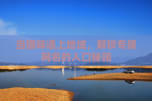 当猫咪遇上地域,解锁专属网名的入口秘籍 当猫咪遇上地域,解锁专属网名的入口秘籍