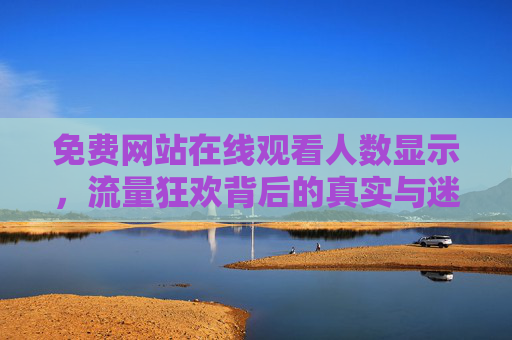 免费网站在线观看人数显示,流量狂欢背后的真实与迷思 免费网站在线观看人数显示,流量狂欢背后的真实与迷思