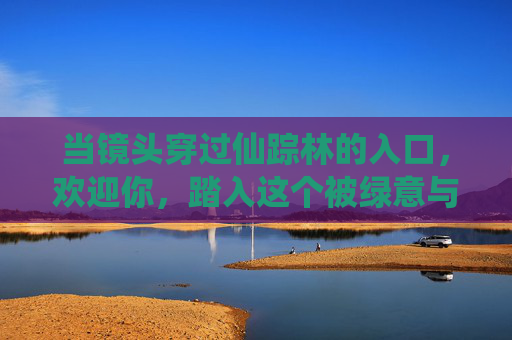 当镜头穿过仙踪林的入口，欢迎你，踏入这个被绿意与童话拥抱的世界，镜头穿过仙踪林入口，踏入绿意童话世界