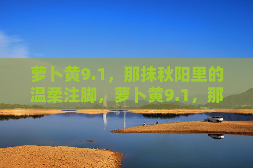 萝卜黄9.1,那抹秋阳里的温柔注脚,萝卜黄9.1,那抹秋阳的温柔注脚 萝卜黄9.1,那抹秋阳里的温柔注脚,萝卜黄9.1,那抹秋阳的温柔注脚