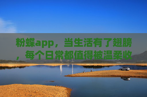 粉蝶app，当生活有了翅膀，每个日常都值得被温柔收藏，粉蝶，生活有翼，日常可藏