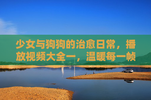 少女与狗狗的治愈日常，播放视频大全一，温暖每一帧时光，少女狗狗治愈日常，温暖每一帧时光