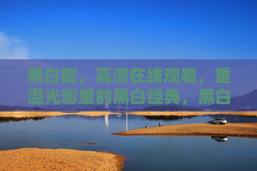 黑白配，高清在线观看，重温光影里的黑白经典，黑白配高清在线，重温光影黑白经典