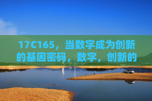 17C165,当数字成为创新的基因密码,数字,创新的基因密码 17C165,当数字成为创新的基因密码,数字,创新的基因密码