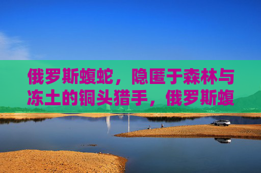 俄罗斯蝮蛇，隐匿于森林与冻土的铜头猎手，俄罗斯蝮蛇，森林与冻土的铜头猎手
