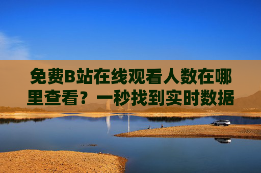 免费B站在线观看人数在哪里查看？一秒找到实时数据！免费B站实时在线观看人数查询，一秒搞定！