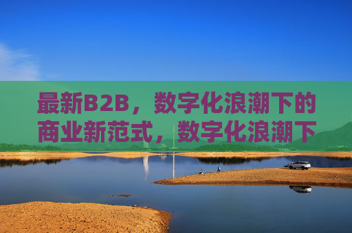 最新B2B,数字化浪潮下的商业新范式,数字化浪潮下的B2B商业新范式 最新B2B,数字化浪潮下的商业新范式,数字化浪潮下的B2B商业新范式