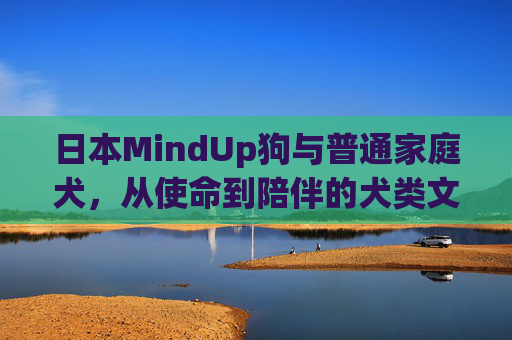 日本MindUp狗与普通家庭犬,从使命到陪伴的犬类文明差异,从使命到陪伴,日本MindUp狗与普通家庭犬的犬类文明差异 日本MindUp狗与普通家庭犬,从使命到陪伴的犬类文明差异,从使命到陪伴,日本MindUp狗与普通家庭犬的犬类文明差异