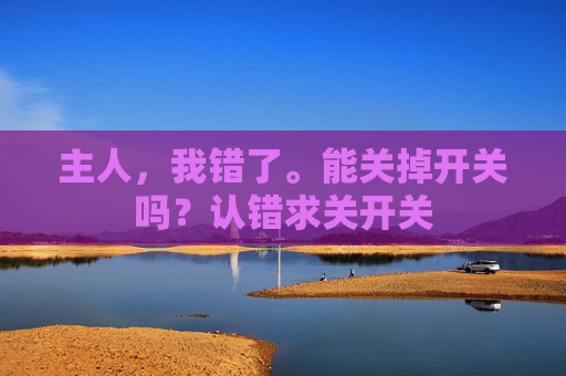 主人，我错了。能关掉开关吗？认错求关开关