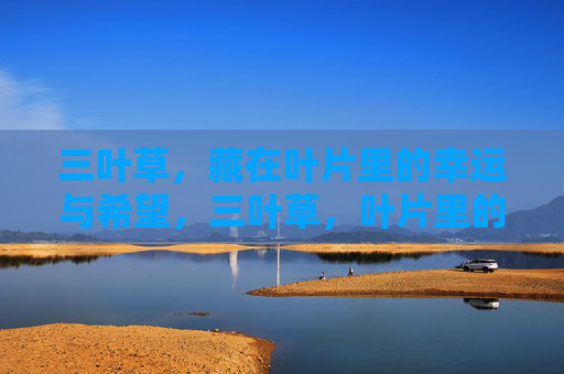 三叶草，藏在叶片里的幸运与希望，三叶草，叶片里的幸运与希望