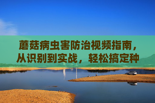 蘑菇病虫害防治视频指南,从识别到实战,轻松搞定种植难题,蘑菇病虫害防治视频指南,从识别到实战,轻松搞定种植难题 蘑菇病虫害防治视频指南,从识别到实战,轻松搞定种植难题,蘑菇病虫害防治视频指南,从识别到实战,轻松搞定种植难题