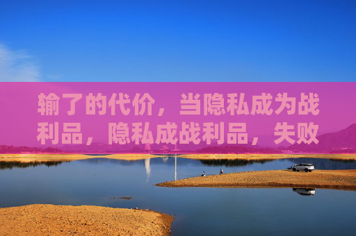 输了的代价，当隐私成为战利品，隐私成战利品，失败的代价