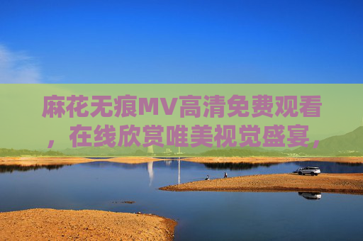 麻花无痕MV高清免费观看，在线欣赏唯美视觉盛宴，麻花无痕MV高清免费在线观看 唯美视觉盛宴