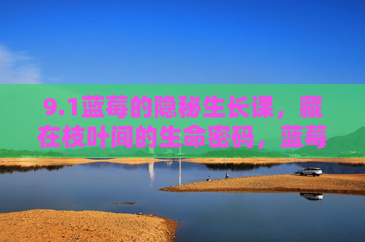 9.1蓝莓的隐秘生长课,藏在枝叶间的生命密码,蓝莓的隐秘生长课,藏在枝叶间的生命密码 9.1蓝莓的隐秘生长课,藏在枝叶间的生命密码,蓝莓的隐秘生长课,藏在枝叶间的生命密码