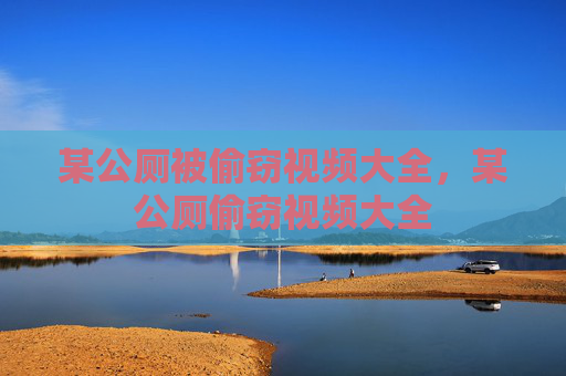 某公厕被偷窃视频大全,某公厕偷窃视频大全 某公厕被偷窃视频大全,某公厕偷窃视频大全
