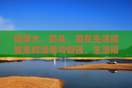 摸摸大,扔头,藏在生活褶皱里的温柔与倔强,生活褶皱里的温柔与倔强 摸摸大,扔头,藏在生活褶皱里的温柔与倔强,生活褶皱里的温柔与倔强