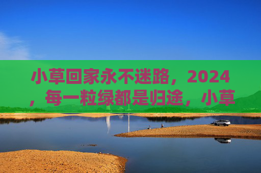 小草回家永不迷路,2024,每一粒绿都是归途,小草回家,2024,每一粒绿都是归途 小草回家永不迷路,2024,每一粒绿都是归途,小草回家,2024,每一粒绿都是归途