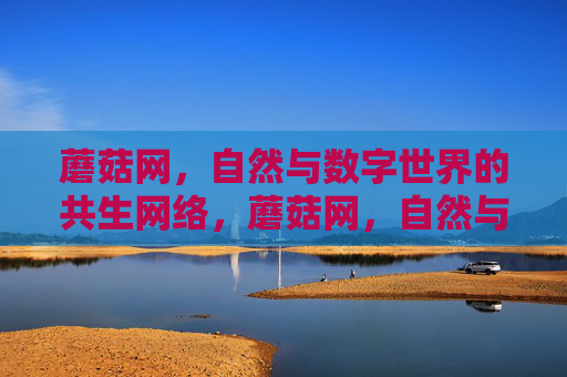 蘑菇网,自然与数字世界的共生网络,蘑菇网,自然与数字的共生网络 蘑菇网,自然与数字世界的共生网络,蘑菇网,自然与数字的共生网络