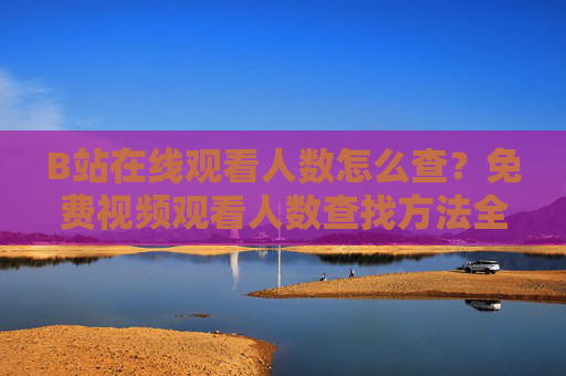 B站在线观看人数怎么查?免费视频观看人数查找方法全攻略,B站在线观看人数免费查看方法全攻略 B站在线观看人数怎么查?免费视频观看人数查找方法全攻略,B站在线观看人数免费查看方法全攻略