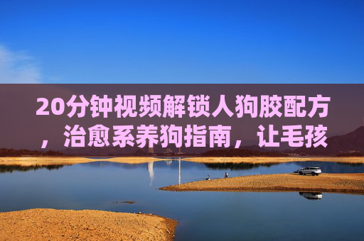 20分钟视频解锁人狗胶配方，治愈系养狗指南，让毛孩子成为你的粘人精，20分钟治愈系人狗胶配方，让毛孩子秒变你的粘人精